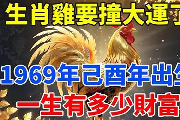 1969年属鸡的命运