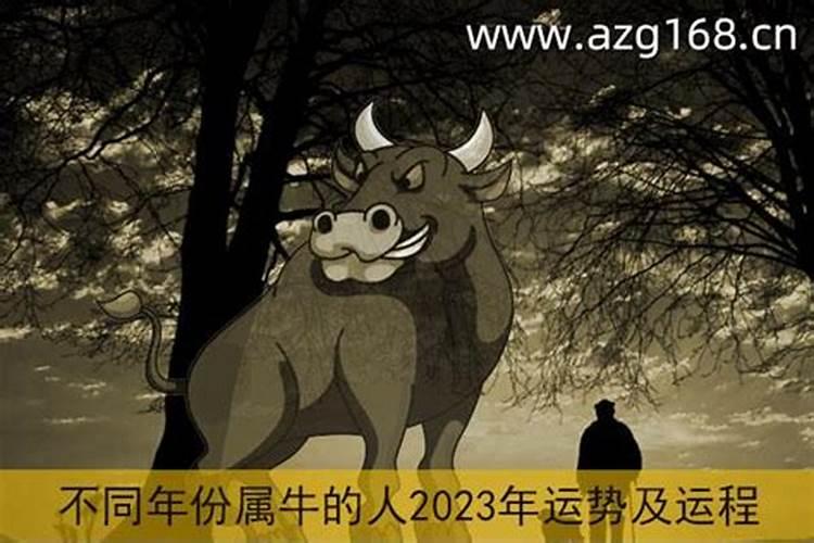 属鸡1981年2025年运势及运程