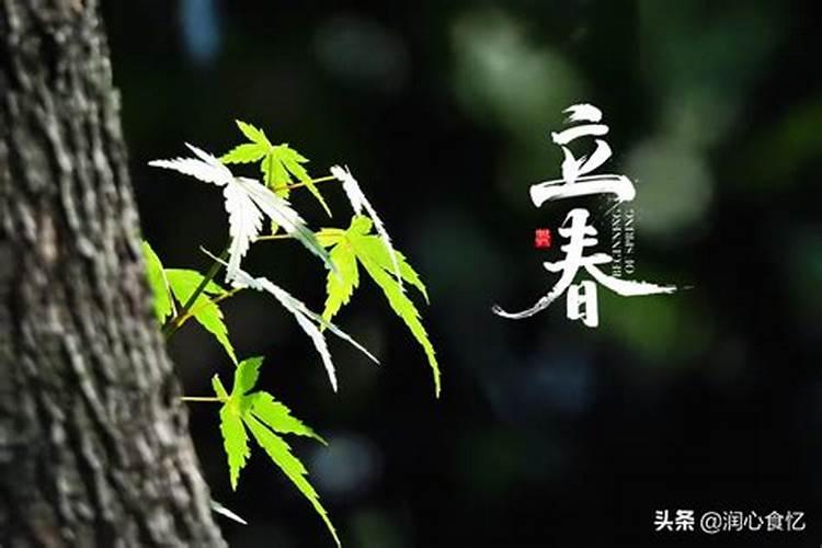 老人去世开给纸人光都念什么？