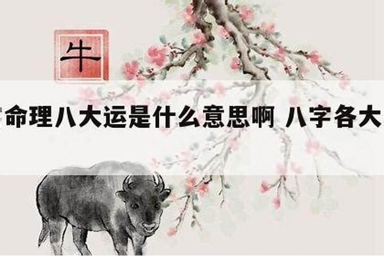 八字是什么意思