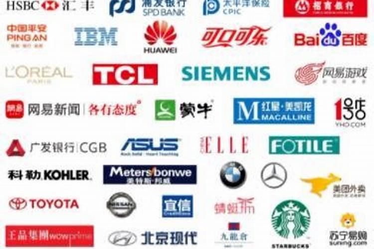 学校班级适合放什么花