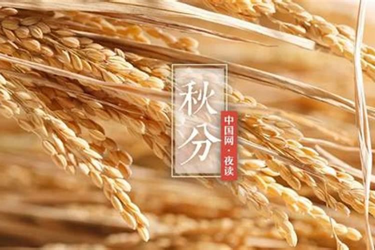 秋季是收获的季节秋分也是我国的 我国的农民丰收节是什么时候