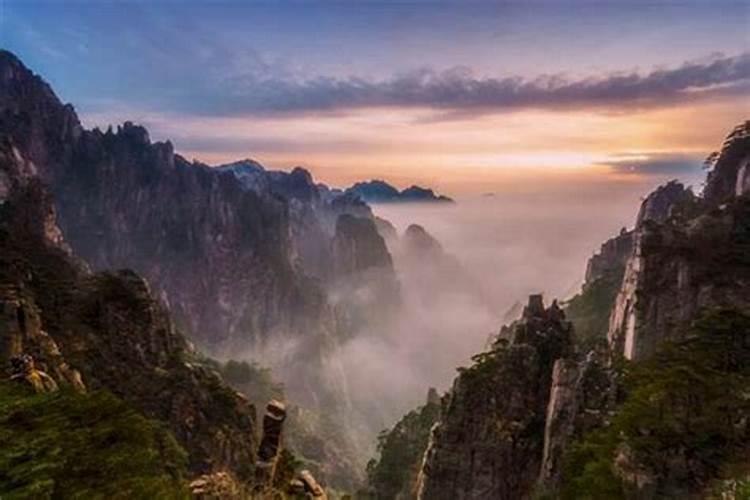属猪人出生月运势怎么样属猪的几月出生最好命
