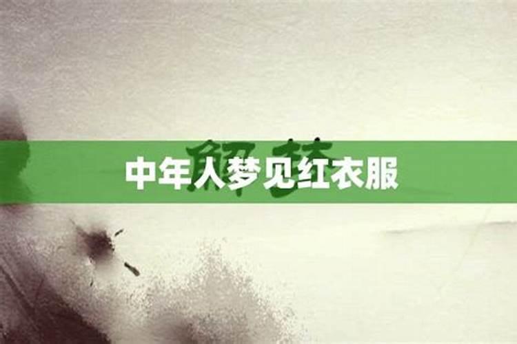 兔和猪的属相合不合