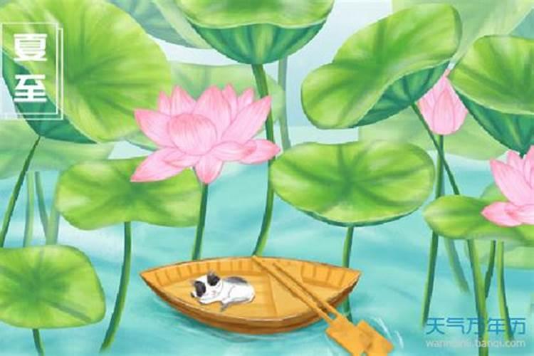 夏至节气在什么季节 夏至节气是什么时候