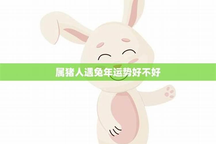 属兔人在哪些年份不好