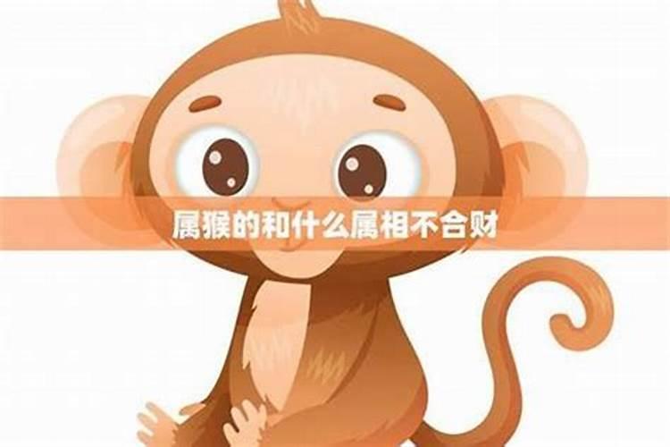 结婚属猪和什么属相好