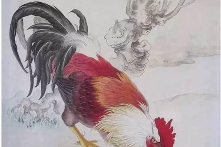 男属鸡,女属猴,相配吗