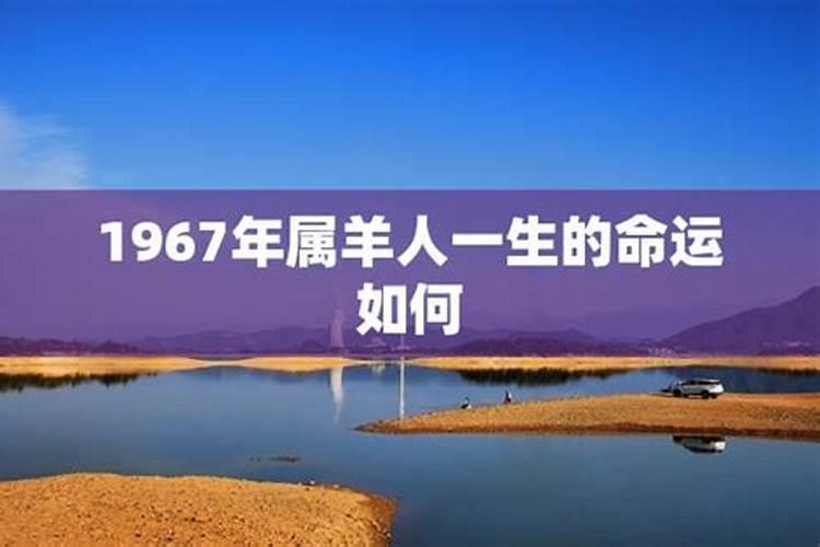 67年生肖羊运程如何