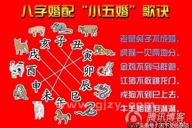 2025年68年猴人的全年运势如何