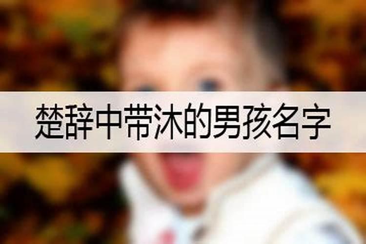做梦梦见大蟒蛇 做梦梦见大蟒蛇好不好