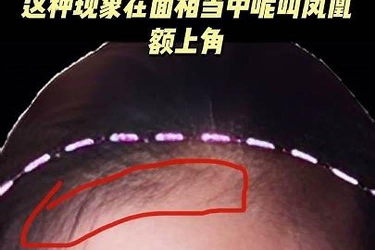 属鸡的今年52岁今年财运身体方面怎样？
