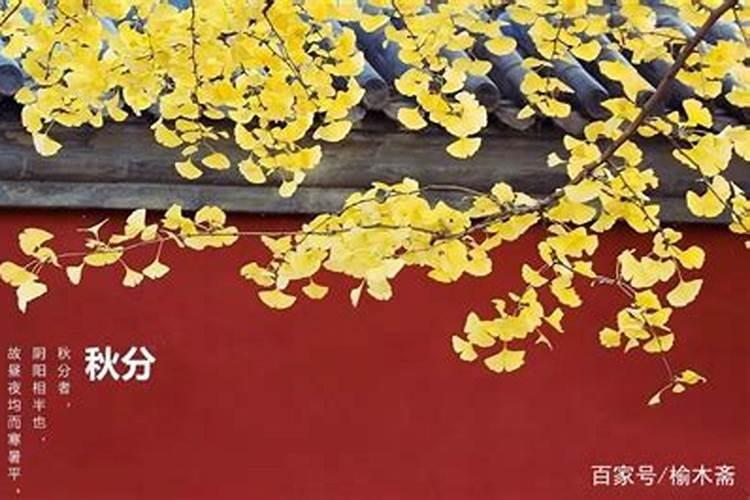 92年属猴女的命里三大坎,这个坎迈不过去一生受累