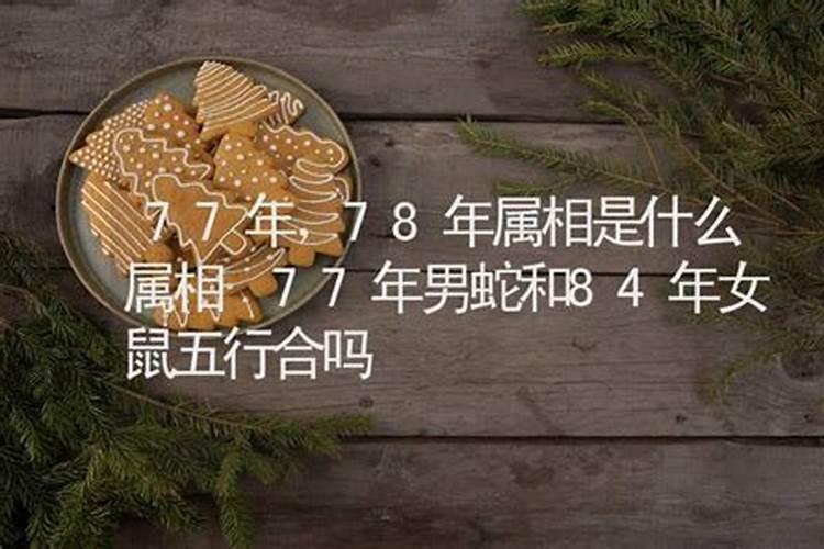 一九七七年的男蛇和一九八七年的女兔结婚属相和吗？谢谢