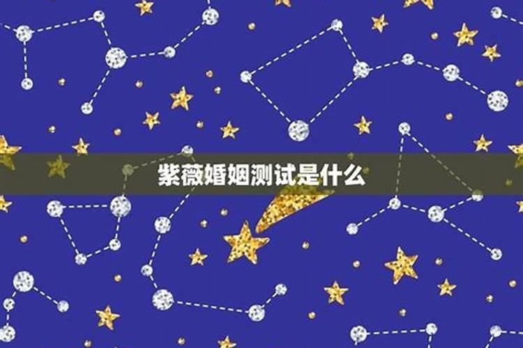 紫微天相在夫妻宫一定不行吗 天机星入庙配偶个性？