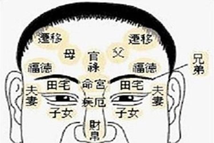 紫微入夫妻宫
