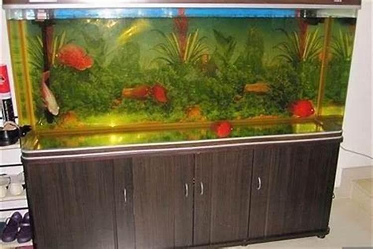 鱼缸风水尺寸多少合适