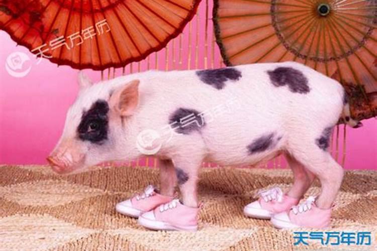 梦到自己买了双新鞋给了情人穿上了是什么意思