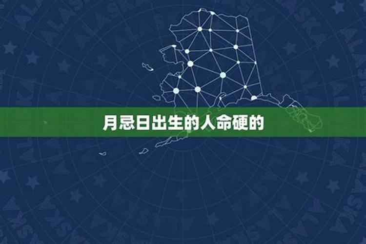 以春节为主题的亲子活动方案