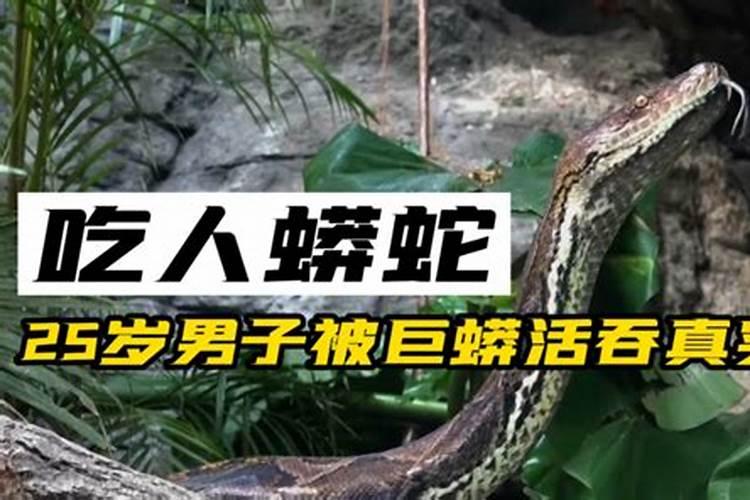 生肖猴1992年2025年运势如何 生肖猴1992年2025年全年运势