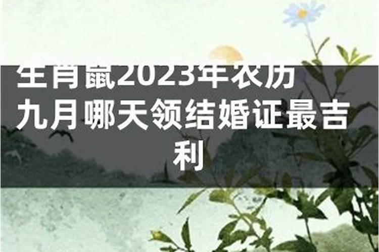 准备领结婚证,麻烦大家给从这两个日子里选一个。偶明年结婚,不过准