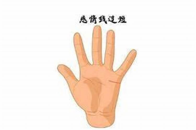 梦见老婆出轨我把她杀了