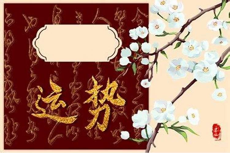 巴西木上面的小人叫什么？