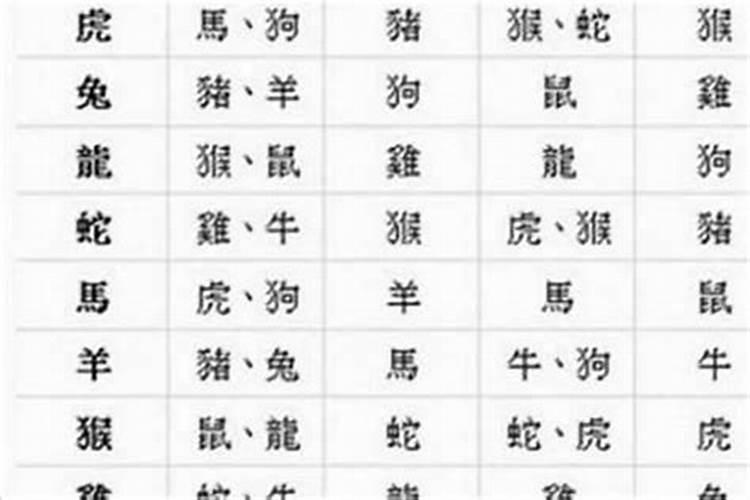 什么属相的夫妻最旺财