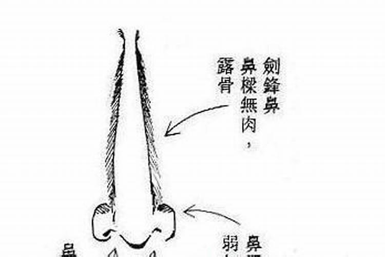 梦见大黑狗很亲热温顺是什么意思