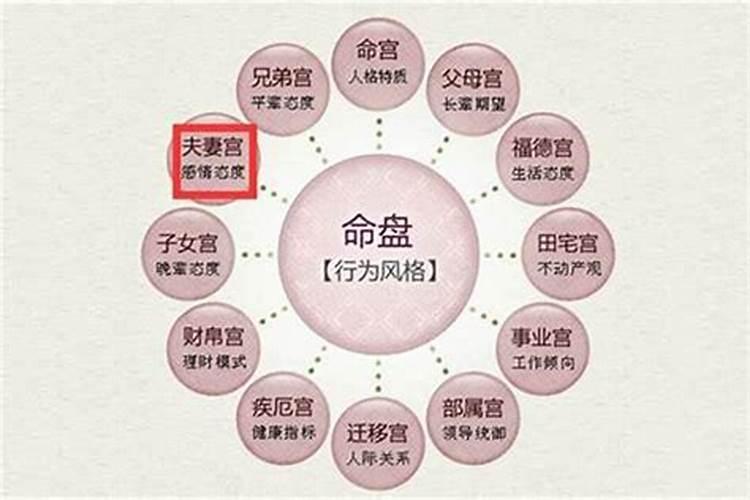 八字哪个是夫妻宫