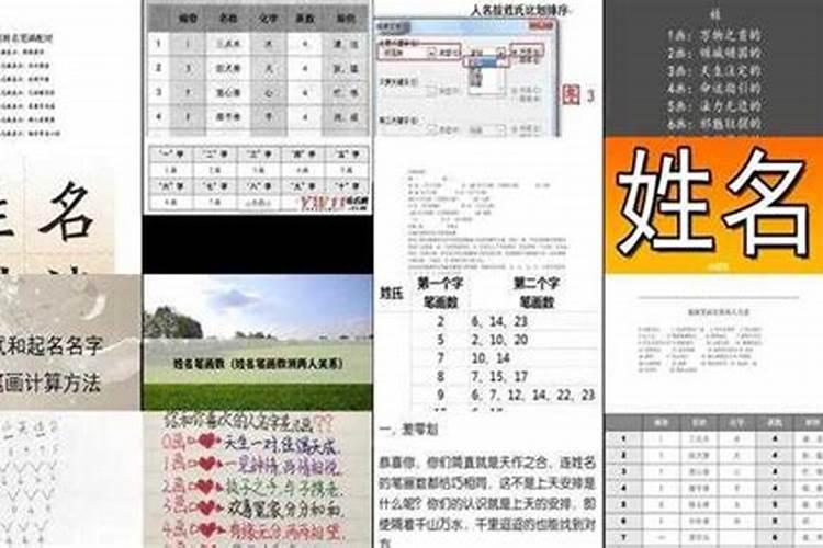 81年属鸡男人在2025年的全年运势