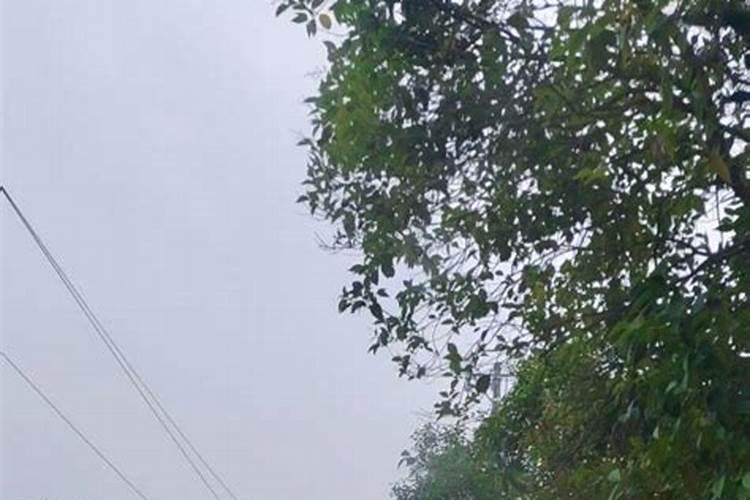 瑶族的重要节日有哪些？