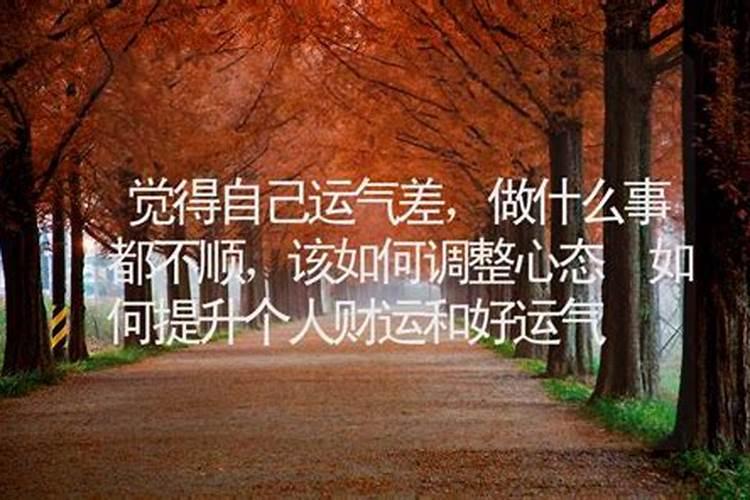 属狗男和属蛇女的婚姻如何