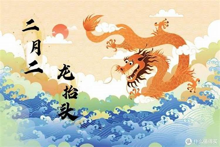开车撞到猫暗示着什么风水