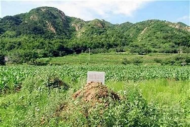 安徽亳州蒙城县清明习俗