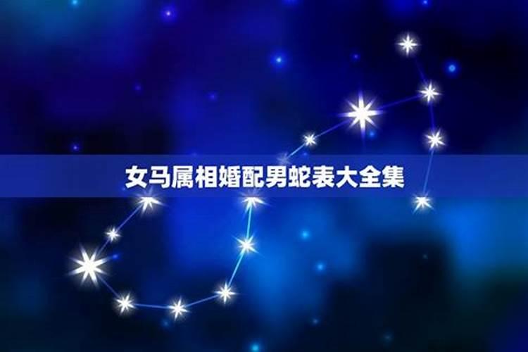 属马女最佳婚配属相