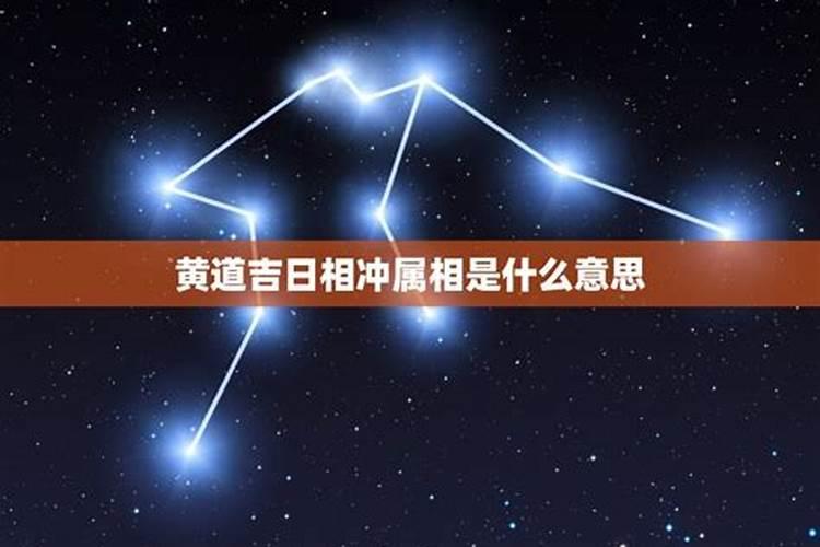 梦见被狗咬住不松口有何征兆