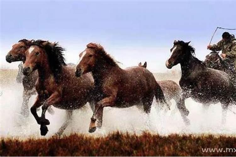什么是看香火,如何看香火？