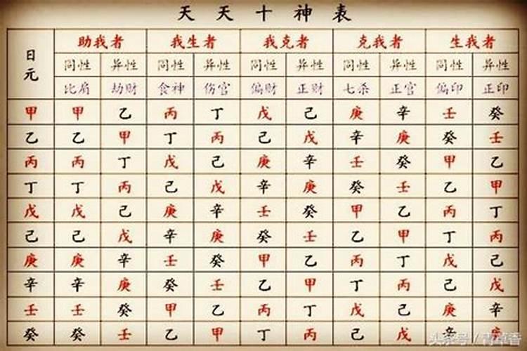 八字中术语,从财是什么意思哦？可以通俗点解释一下吗