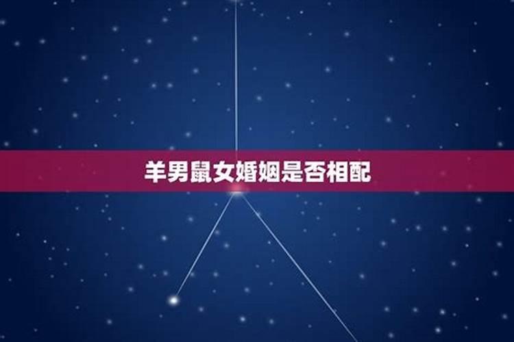 91羊男和96鼠女姻缘,96鼠女和91年男结婚好不好
