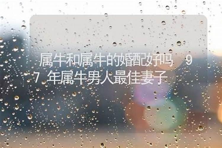 男鼠和什么属相最配对