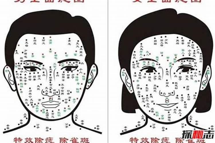 作文《柳林的元宵节》