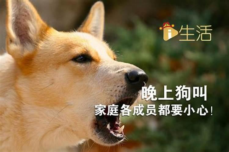 预兆是什么意思 预兆的释义