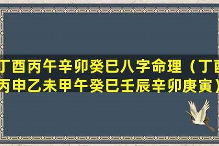 六甲日出生男女八字合婚表