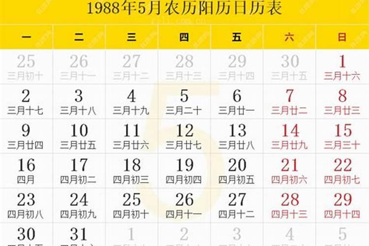 1988年属龙男2025年每月运势及运程