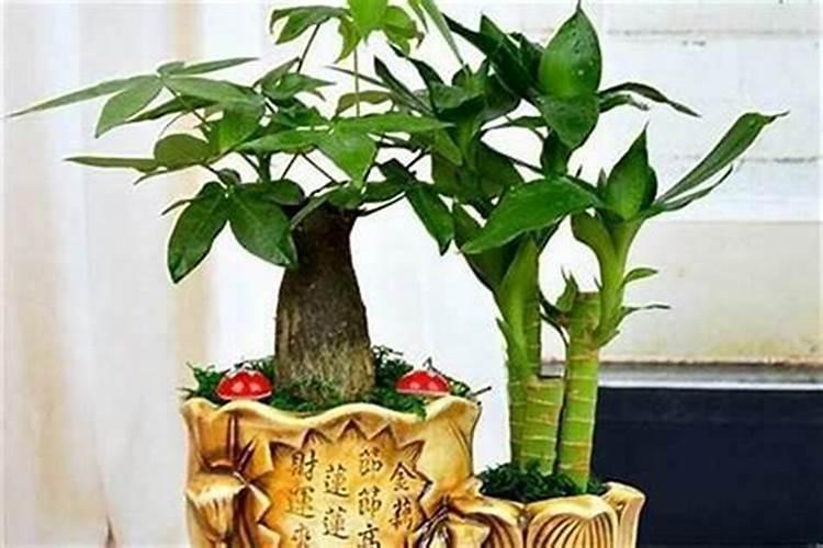 3万元投资做什么小生意好投资3万以内的小生意