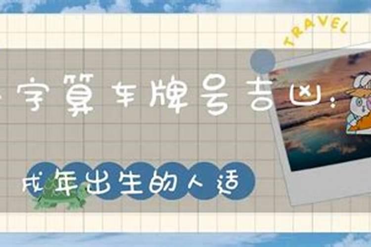 八字选车牌号数字 风水看旺运号码？