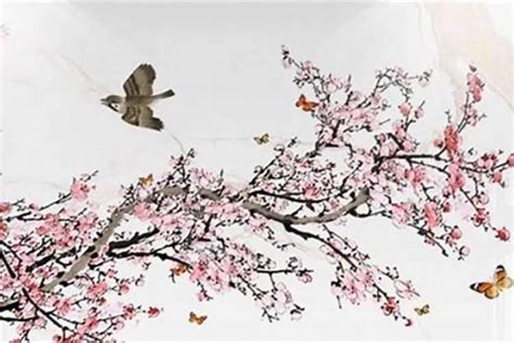许昌过年民俗与北京过年民俗有何不同