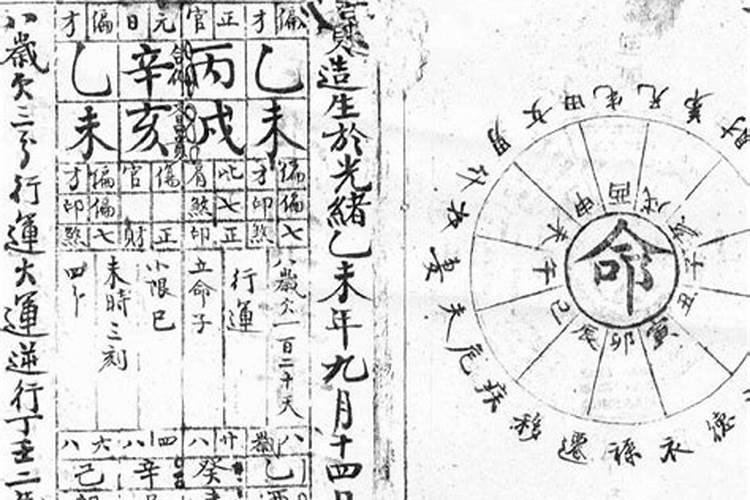 杨绛的资料