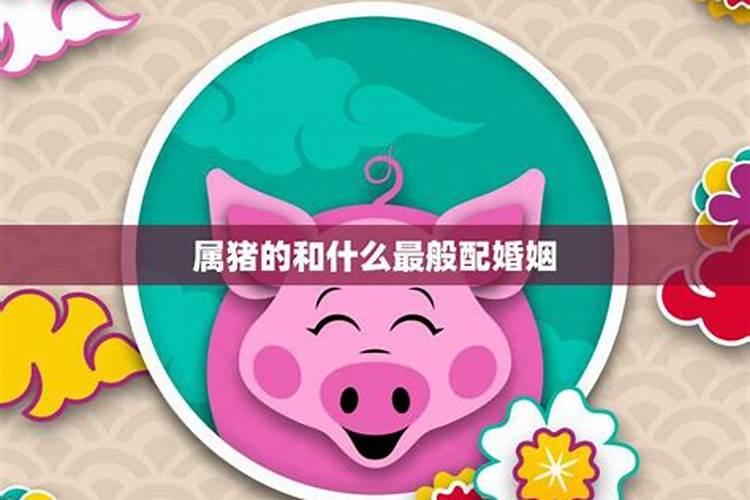 属猪2024年每月运势及全年运势